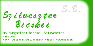 szilveszter bicskei business card